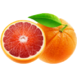 Pomarańcza czerwona