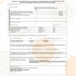 bc_ACT2510284_18-41052_ConSigillo_IT-BIO-004.380-0045712.2025.001-.pdf (1)