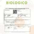 bc_ACT2510284_18-41052_ConSigillo_IT-BIO-004.380-0045712.2025.001-.pdf