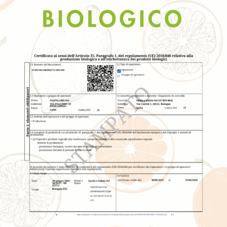 bc_ACT2510284_18-41052_ConSigillo_IT-BIO-004.380-0045712.2025.001-.pdf bc_ACT2510284_18-41052_ConSigillo_IT-BIO-004.380-0045712.2025.001-.pdf