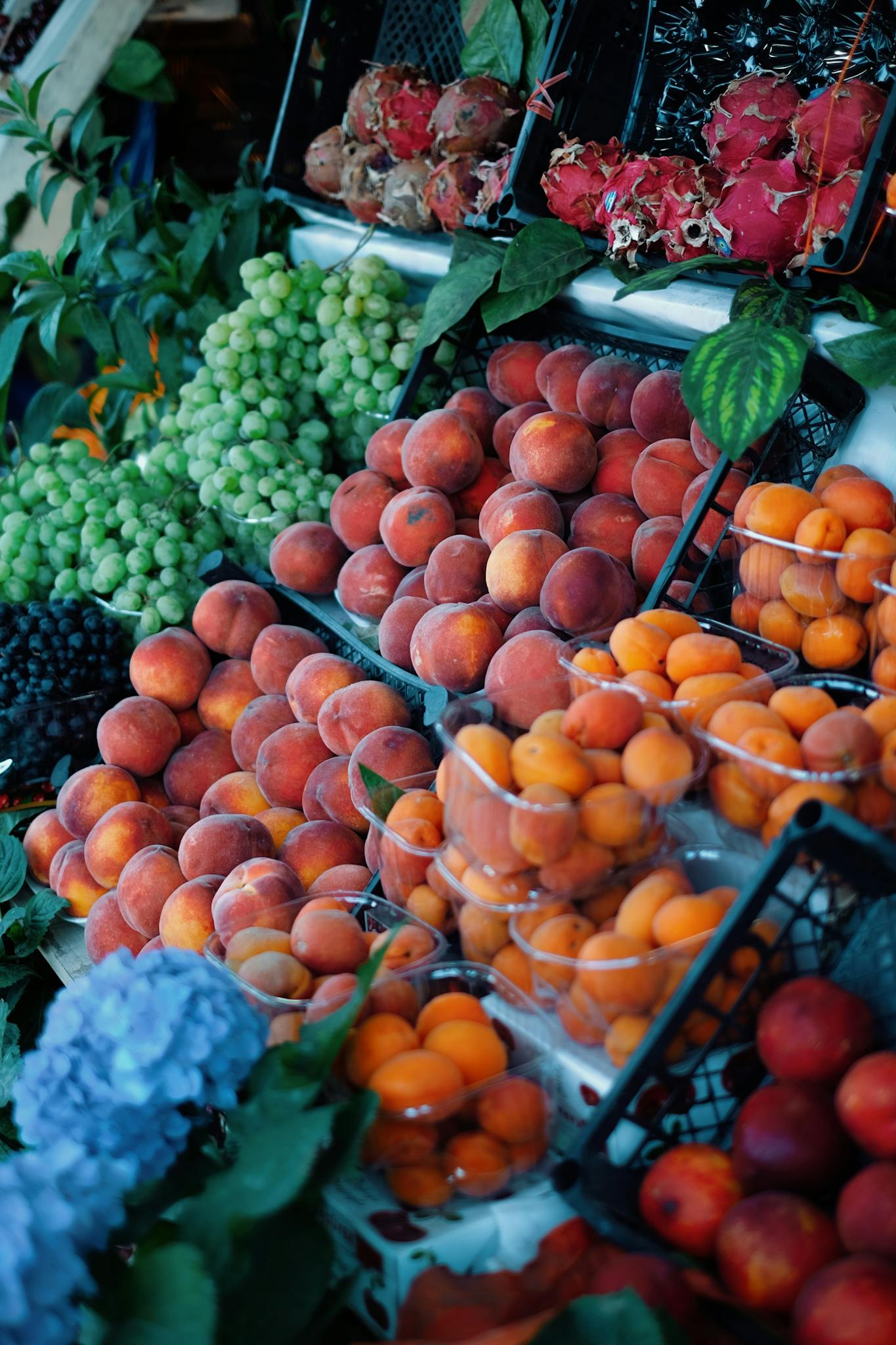 A colorful and abundant display of fresh fruit at a bustling street market.